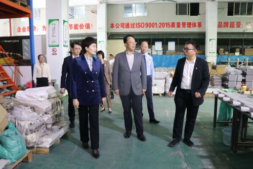Provincial Leaders Visit Sigoled Light and Solar Energy Company