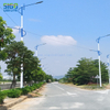 SIGOLED GSWL LED Street Light Project in countryside road